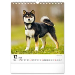 Nástěnný kalendář Psi 2024, 30 x 34 cm
