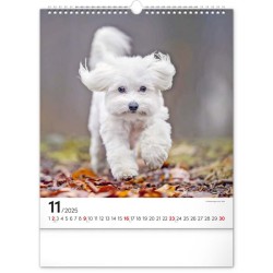 Nástěnný kalendář Psi 2024, 30 x 34 cm