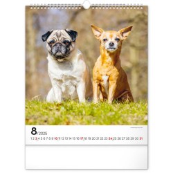 Nástěnný kalendář Psi 2024, 30 x 34 cm