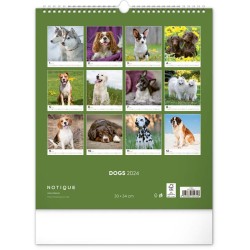 Nástěnný kalendář Psi 2024, 30 x 34 cm