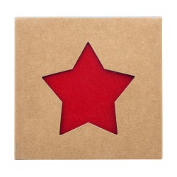 Vagnes vada vánočních podtácků z RPET