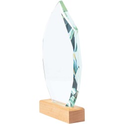 Trofej Pulman