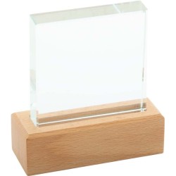 Trofej Rectofi