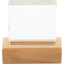 Trofej Rectofi
