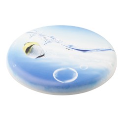 Smooth Fly frisbee