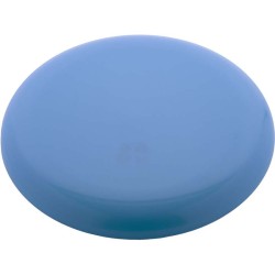 Frisbee Reppy