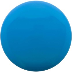 Frisbee Reppy