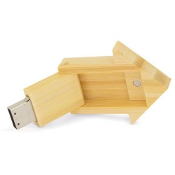 USB 32GB - dům