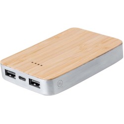 Power banka Newin