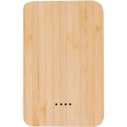 Power banka Newin