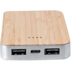 Power banka Newin