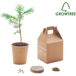 GROWTREE SET vyrobený z borovice