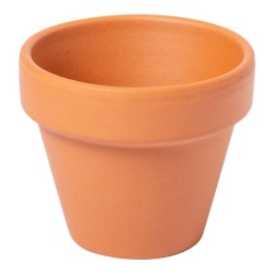 Květináč se semínky Soltax