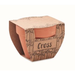 Cress pot Semínka řeřichy v květináčku